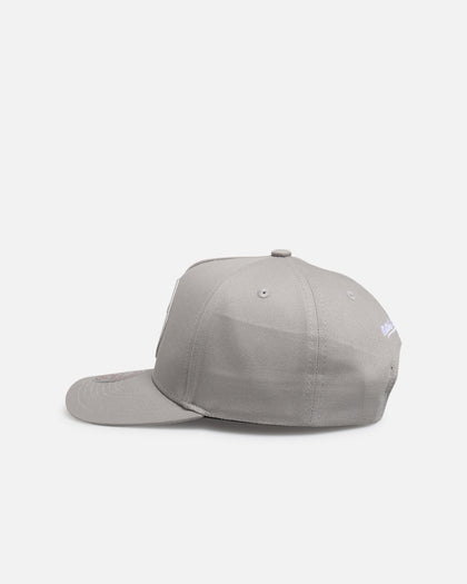 Mitchell & Ness Minnesota Timberwolves 'Upside Down Logo' Pro Pinch Snapback Grey