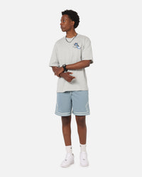 Jordan Dri-FIT Mesh Diamond Shorts Aviator Grey