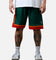 Mitchell & Ness Seattle SuperSonics 95-96' Swingman Shorts Green