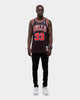 Mitchell & Ness Chicago Bulls Scottie Pippen '95-'96 #33 Swingman Jersey Black