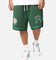 Mitchell & Ness Boston Celtics All American Shorts Faded Dark Green
