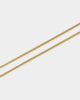NXS 2.5mm Franco Chain Gold