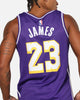 Nike LeBron James Los Angeles Lakers 2025/26 Statement Edition Dri-FIT NBA Swingman Jersey Field Purple