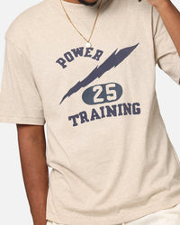 Champion Vintage Mix P.E Class T-Shirt Oatmeal Heather