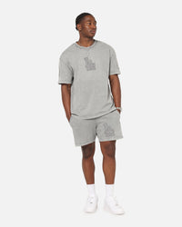 Pro Standard Los Angeles Dodgers Washed Classic T-Shirt Washed Grey