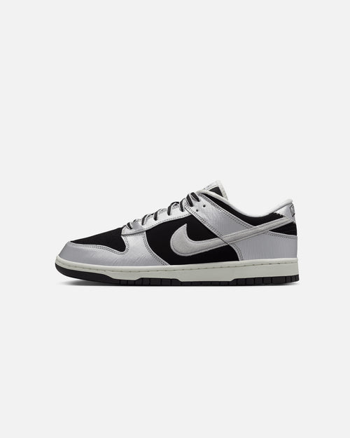 Nike Dunk Low Retro Silver