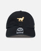 47 Brand Golden Retriever 'Dog Collection' 47 Clean Up Strapback Black