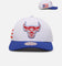 Mitchell & Ness Chicago Bulls 'Puerto Rico Flag' Pro Crown Snapback White/Blue