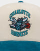 Mitchell & Ness Charlotte Hornets Pro Crown Snapback Off White/Teal