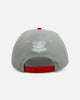 New Era Anaheim Ducks 'All I Want For Christmas' 9FORTY A-Frame Snapback Green/Red