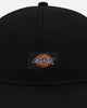 Dickies Carpenter Snapback Graphite