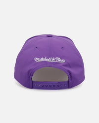 Mitchell & Ness Los Angeles Lakers 'Poolside' Deadstock Snapback Official Team Color