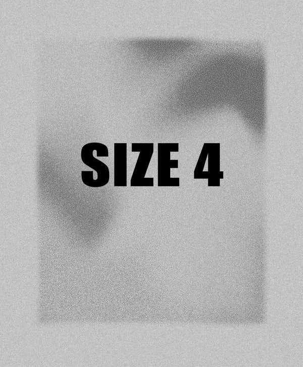presentation image