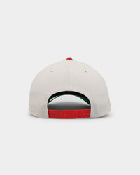 New Era Tampa Tarpons 'Batter Up' 9FORTY A-Frame Snapback Stone