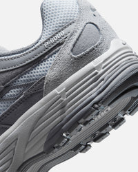 Nike Women's P-6000