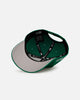 New Era Mexico National Baseball Team 'Mexico Polychromatic' 9FORTY A-Frame Snapback Kelly Green