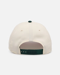 New Era Houston Astros 'Pink Satin Hearts Green' 9FORTY A-Frame Snapback Chrome/Dark Green