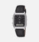 Casio AQ230EL-1A Watch Silver/Black