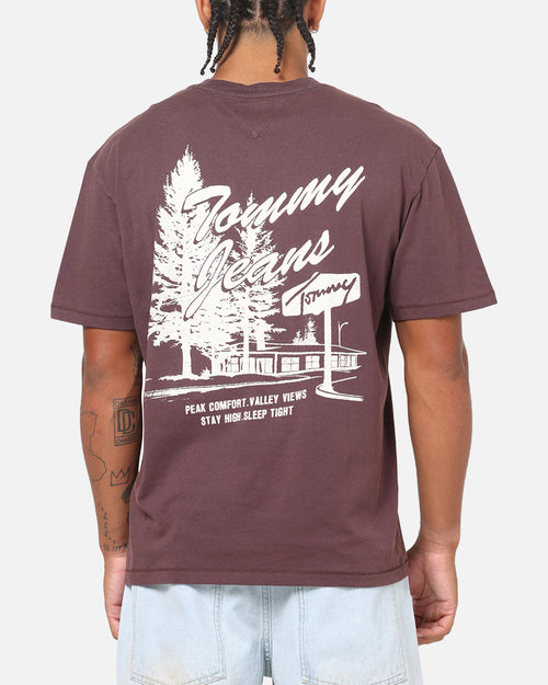Tommy Jeans Relax Novelty T-Shirt Brown