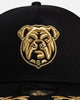 New Era Canterbury-Bankstown Bulldogs 'NRL Vegas Round 2026' 9FORTY A-Frame Snapback Black/Gold