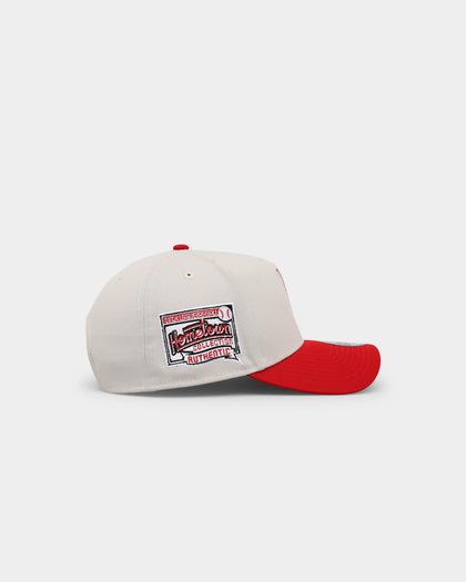 New Era Tampa Tarpons 'Batter Up' 9FORTY A-Frame Snapback Stone