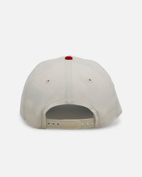 New Era Detroit Tigers 'Strawberry' 9FORTY A-Frame Snapback Chrome/Red
