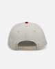 New Era Detroit Tigers 'Strawberry' 9FORTY A-Frame Snapback Chrome/Red