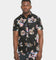 Brixton Charter Print Short Sleeve Woven Shirt Black/Purple