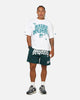 Mitchell & Ness Miami Dolphins Stars & Text Mesh Shorts Deep Sea Teal