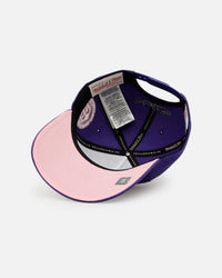 Mitchell & Ness Los Angeles Lakers 'Pink Side Patch' Pro Pinch Snapback Official Team Color