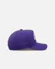 Mitchell & Ness Los Angeles Lakers 'Pink Side Patch' Pro Pinch Snapback Official Team Color