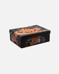 Jordan Air Jordan 1 Retro High OG "Shattered Backboard"Black/Black-Sail/Starfish