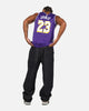 Nike LeBron James Los Angeles Lakers 2025/26 Statement Edition Dri-FIT NBA Swingman Jersey Field Purple