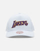 Mitchell & Ness Los Angeles Lakers 'Seersucker' Pro Pinch Snapback Blue/White