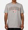 New Era Miami Dolphins T-Shirt Grey