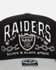 47 Brand Las Vegas Raiders 'NFL Trophy Case' Premium Hitch Snapback Black