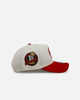 New Era Toronto Raptors 'Strawberry' 9FORTY A-Frame Snapback Chrome/Red