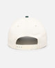 New Era Las Vegas Raiders 'Chrome Dark Green' 9FORTY A-Frame Snapback Chrome/Dark Green