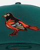 New Era Baltimore Orioles 'Citrus 2.0' 9FORTY A-Frame Snapback Dark Green/Orange