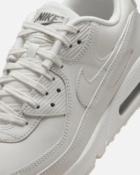 Nike Air Max 90 Phantom
