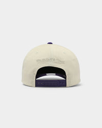 Mitchell & Ness Los Angeles Lakers Pro Crown Snapback Off White/Purple
