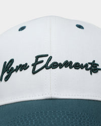 Pyra Script  Snapback Bone/Teal