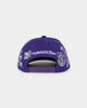 Mitchell & Ness Toronto Raptors 'Highway' Pro Crown Snapback Purple