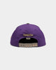 Mitchell & Ness Toronto Raptors Lux Carp Script HWC Snapback Purple/Grey