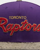 Mitchell & Ness Toronto Raptors Lux Carp Script HWC Snapback Purple/Grey