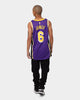 Jordan Los Angeles Lakers LeBron James #6 Statement Jersey Field Purple