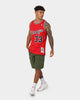 Mitchell & Ness Chicago Bulls Scott Pippen #33 '03-'04 Home Swingman Jersey Red