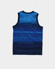 Nike Kid's Team USA Olympic Swingman Road Jersey