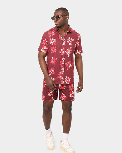 XXIII Reuben Print Shirt Brown