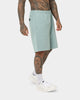 Stussy Brushed Beach Shorts Sage Green